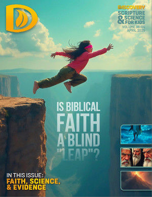 Discovery Subscription