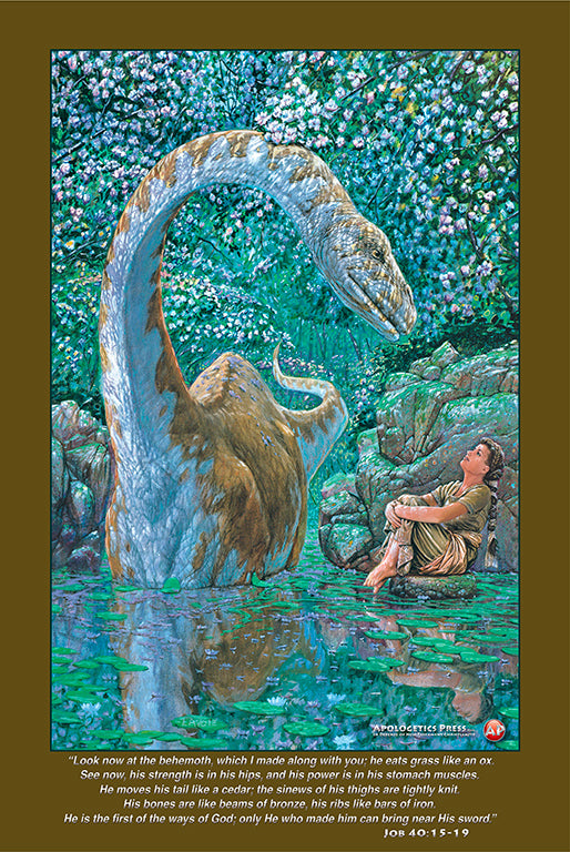 Dinosaur Poster: "Job 40"