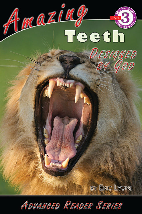 Amazing Teeth Designed by God