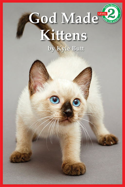 God Made Kittens