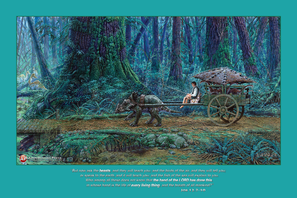 Dinosaur Poster: "The Merchant" (Job 12:7-10)