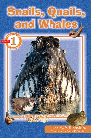 Snails, Quails, and Whales