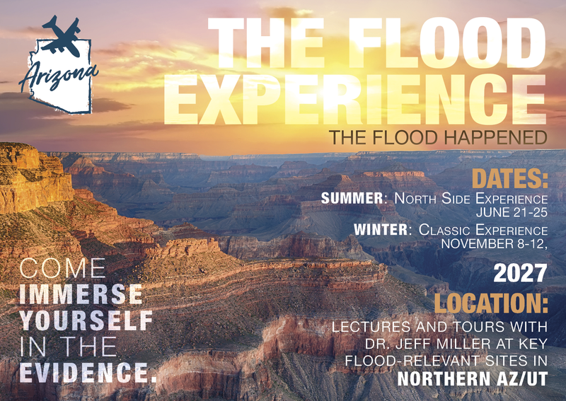 2027-Summer-Flood-Experience-Northside – ApologeticsPress