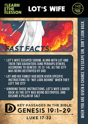 Discovery Bible Cards (400-Card Box)