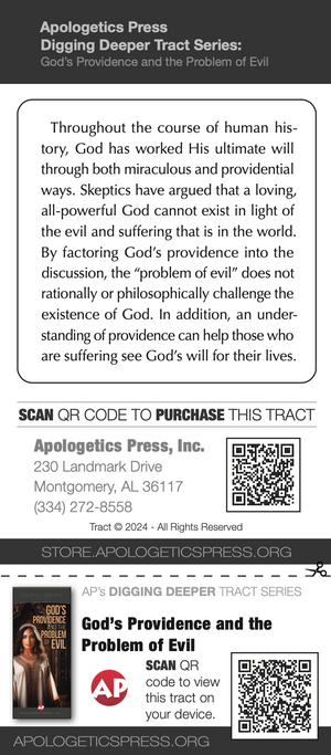 God's Providence and the Problem of Evil