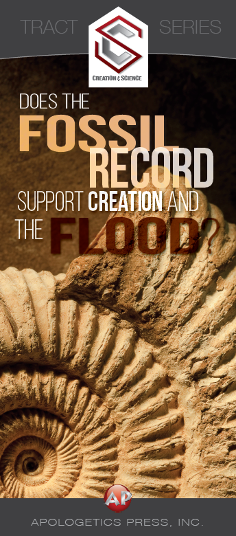 Does the Fossil Record Support Creation and the Flood?