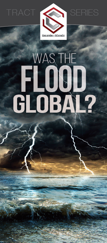 Was the Flood Global?