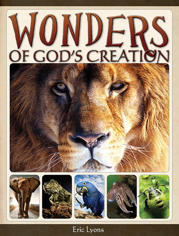 Wonders of Gods Creation - Book